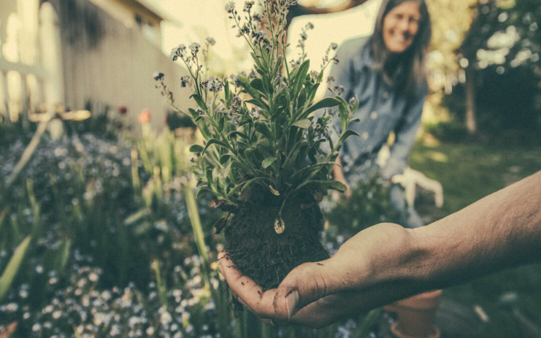 Find Peace And Happiness Through Gardening